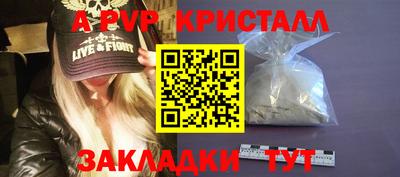 эйфоретик Малгобек
