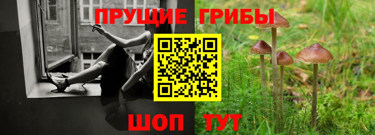 Галлюциногенные грибы мухоморы  Псилоцибиновые грибы MAGIC MUSHROOMS  Вход с VPN  Вязьма 